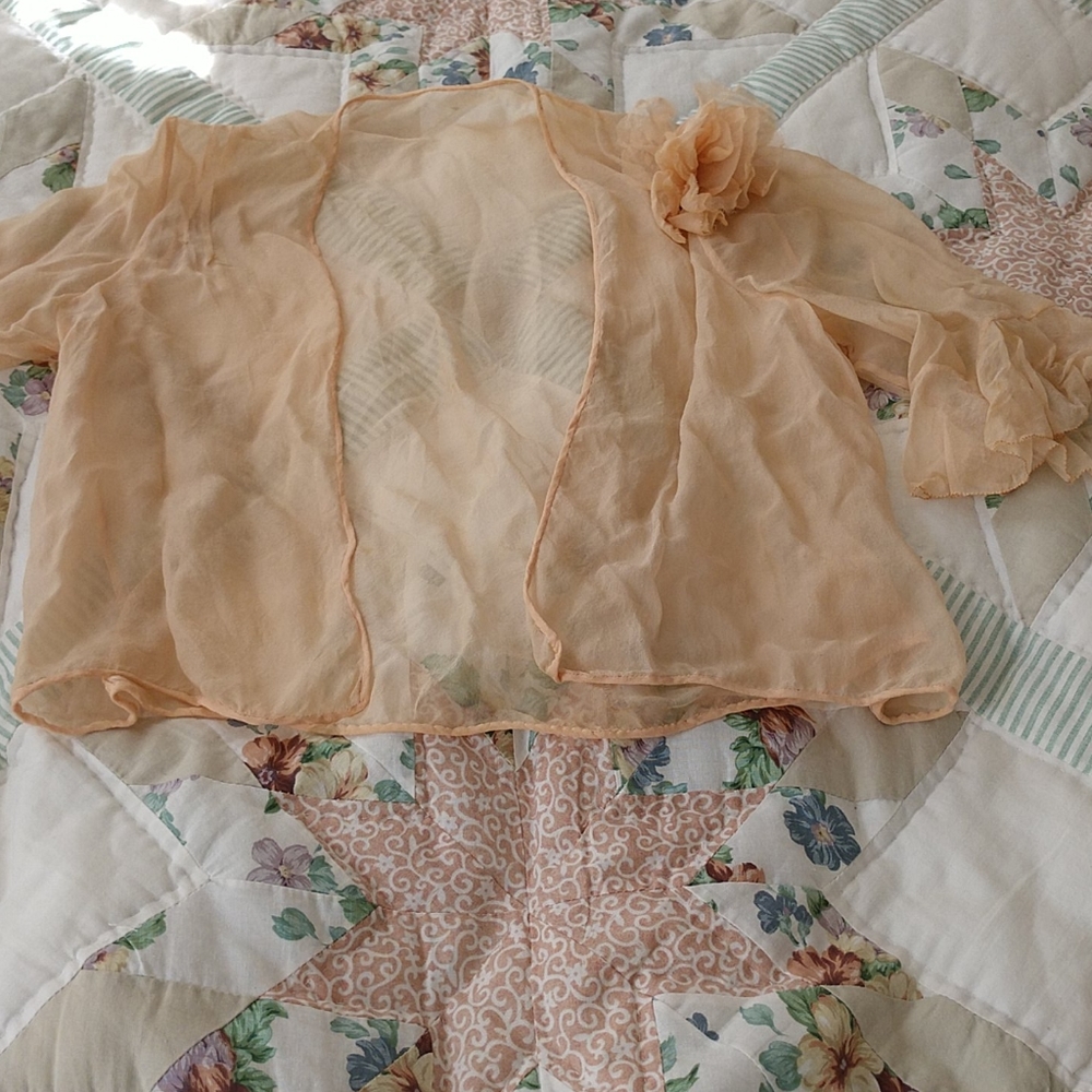 3 PIECE 1920s-30s SILK INCREDIBLE CHIFFON ENSEMBLE - Picture 7 of 16